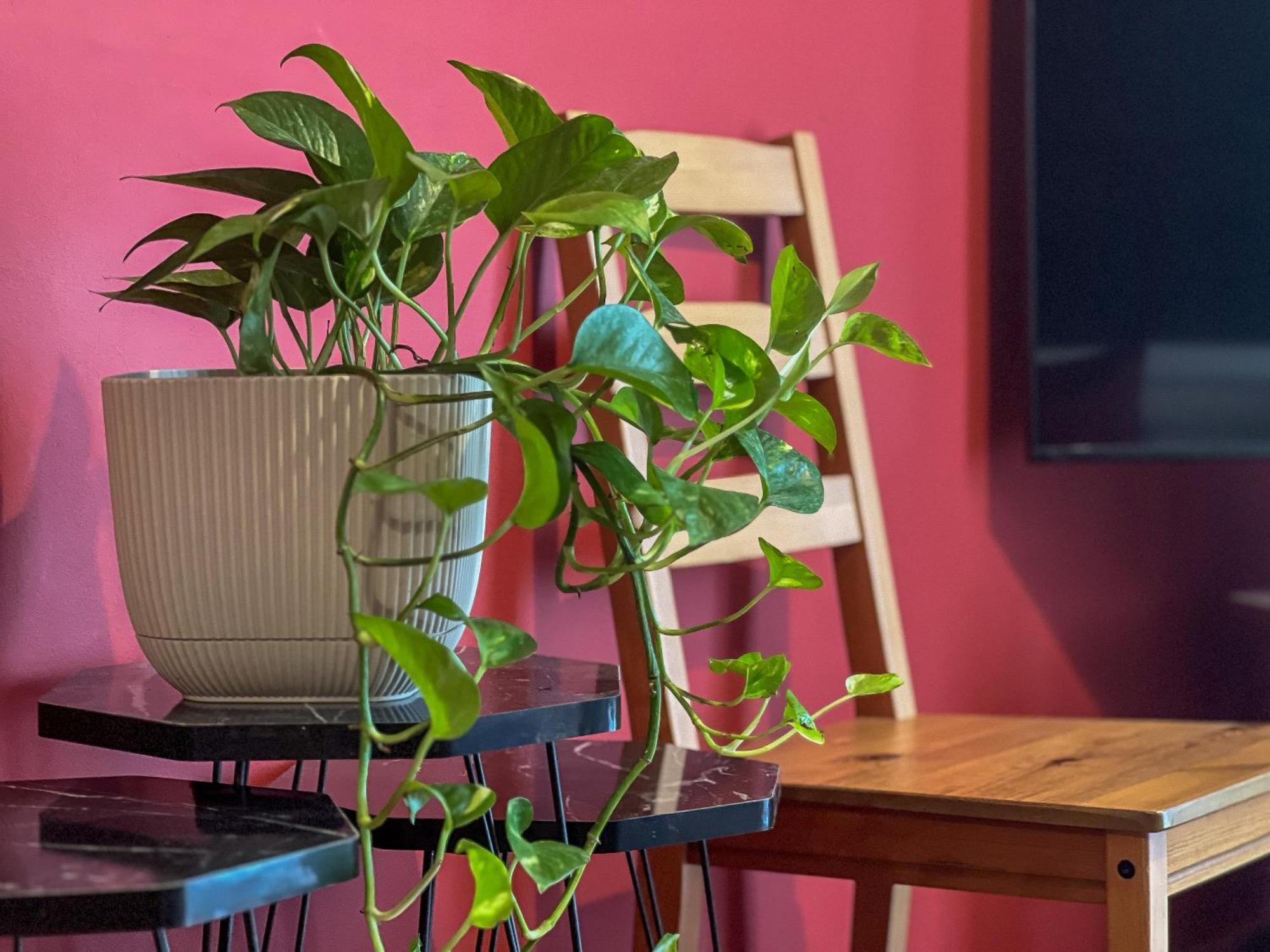 Apartment Homevision - Chic In The